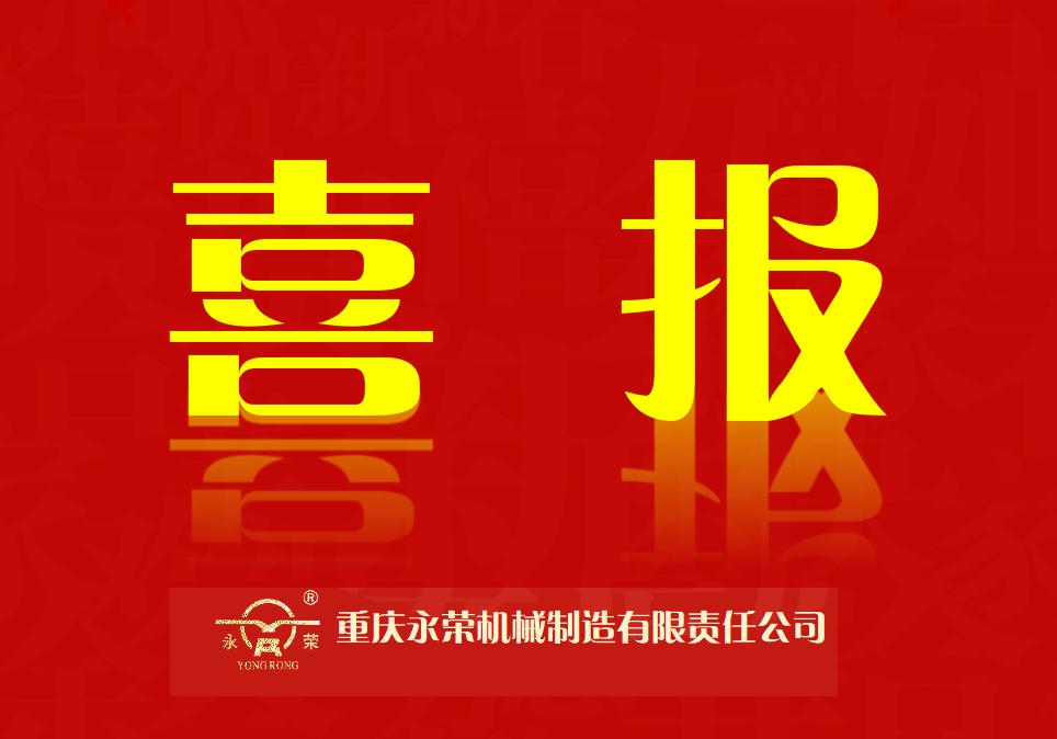 重庆LD乐动网址乐动体育官网入口乐动体育网址荣获荣昌区振兴实体经济工作先进集体